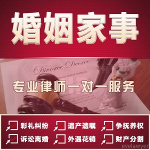 诉讼离婚律师咨询婚姻家事婚内出轨财产协议抚养权遗嘱协议见证