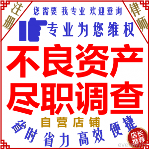 律师不良资产处置尽职调查风险预警合规财务金融债权法律咨询评估