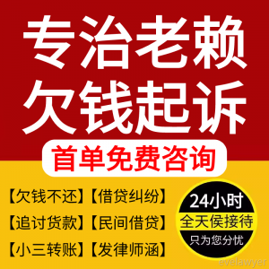 法律咨询服务老赖欠钱不还经济纠纷律师代理起诉状网上立案律师函
