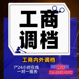 律师调工商档案资料代立案开庭保全保函指导诉讼法律咨询起诉